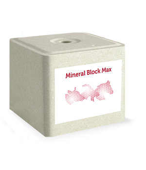 Lizawka Solna Max 10 kg