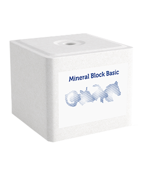 Lizawka Solna Basic 10 kg