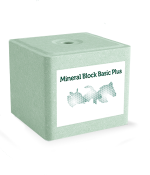 Lizawka Solna Basic Plus 10 kg